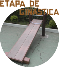 Etapa de Ginástica